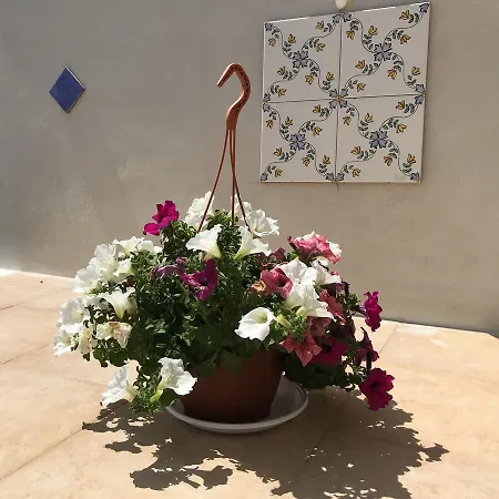 Casa C&s Hébergement de vacances Mascali